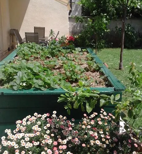 Апартаменты Laura *